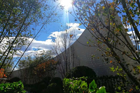 1585117551321282.png image.png